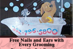 Request Quote: Brooksville Pet Grooming  - Spring Hill, FL