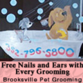 Brooksville Mobile Pet Grooming  - Spring Hill, FL