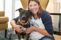Request Quote: Wellness & Wags - Pet Massage Therapist - Chicago, IL