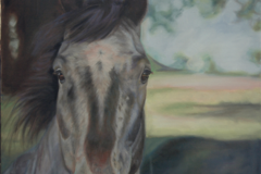 Request Quote: Oil or Pastel Pet Portraits - Professional Artist/Teacher - Roseville, CA