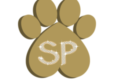 Request Quote: Pack Dog Hikes - Dog Walking and Sitting Services - Los Angeles, CA