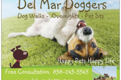 Request Quote: Del Mar Doggers - In Home Pet Sitting  - Del Mar, CA