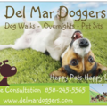 Del Mar Doggers - In Home Pet Sitting  - Del Mar, CA