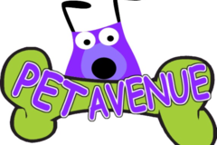 Request Quote: Pet Avenue Mobile Dog Grooming  - Miami, FL