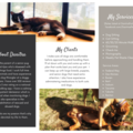Danitra's Pet Booth for Pet Sitting and Dog Walks - Federal Way, WA