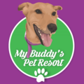 My Buddy's Pet Resort - Pet Boarding - San Marcos, TX