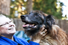 Request Quote: Spirit Touch Healing - Diane Garwood - Animal Reiki Care - Nationwide