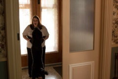 Request Quote: Art, Art, Art! Pet Portrait Photography - Erie, PA