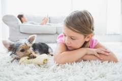 Request Quote: West Valley Pooper Scoopers LLC - Pet Waste Removal Service - Buckeye, AZ