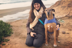Request Quote: Tails and Trails Chiropractic - Certified Dog Chiropractor - Sacramento, CA