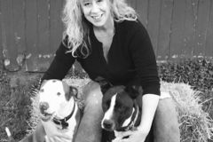 Request Quote: Modern Dog Massage Therapy - Valley City, OH