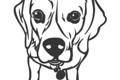 Request Quote: BesoMomma Dog Training and Behavior Management - Westfield, NJ