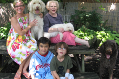 Request Quote: Our Home Dog Boarding - Maple Shade Township, NJ