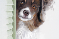 Request Quote: Pastel Pet Portraits - Any Distance - Nationwide