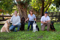 Request Quote: West Palm Dog LLC - Professional Dog Trainers - Wellington, FL