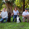 West Palm Dog LLC - Professional Dog Trainers - Wellington, FL