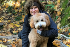 Request Quote: Go Dog Go Canine Rehab - Dog Physical Therapy - Kirkland, WA