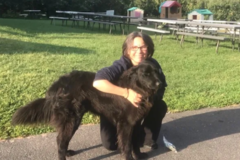 Request Quote: Ahmazing Animal Wellness - Pet Massage Therapy - Glastonbury, CT