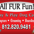 All FUR Fun Stay & Play Dog Day Care - Jeffersonville, IN