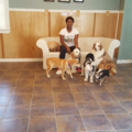 All Good Dogs Daycare & Boarding - Monmouth Junction, NJ