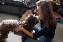 Request Quote: Optimal Animals, LLC - Nationwide