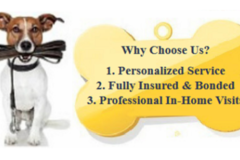 Request Quote: Animal Lovers Pet Services - Pet Sitting and Dog Walkers - Cypress, TX