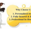 Animal Lovers Pet Services - Pet Sitting and Dog Walkers - Cypress, TX