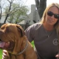 My Pets Comfort - In Home Pet Sitting and Dog Walking - West Conshohocken, PA