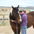 Meridian Harmony - Animal Massage Therapy - Fort Collins, CO