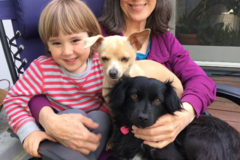 Request Quote: Graton-Sebastopol Pet Sitting Service - Graton, CA