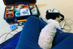 Request Quote: Grace Veterinary Care Services - Animal Acupuncture - Seattle, WA
