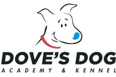 Request Quote: Doves Paw Spaw - Pet Grooming Services - Lincoln, NE