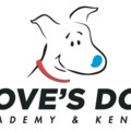 Doves Paw Spaw - Pet Grooming Services - Lincoln, NE