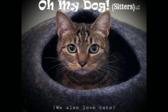 Request Quote: Oh My Dog! (Sitters) LLC - Tumwater, WA