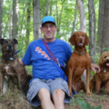 Sal's Pals - Dog Walker and Pet Sitter - Westfield, NJ