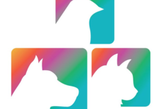 Request Quote: Pawsitive Reinforcement Private Pet Trainers - Bala Cynwyd, PA