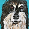 Firehorse Original Works - Pet Portrait Artist  - Nationwide