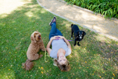 Request Quote: Paws Your Stress - Dog Training and Dog Walking - Santa Barbara, CA
