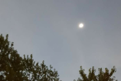 Request Quote: Stary's Errands Appointment Keepers - In Home Pet Sitting - Columbia, MO