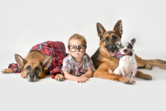 Request Quote: Vancouver Pet Photography  - Vancouver, BCVTZ