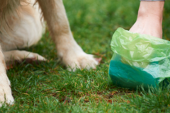 Request Quote: Tri-State Pooper Scoopers, Inc. - Pet Waste Removal Service - Newark, DE