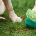 Tri-State Pooper Scoopers, Inc. - Pet Waste Removal Service - Newark, DE