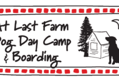 Request Quote: At Last Farm Dog Daycare & Boarding - Mendocino, CA