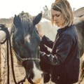First Priority Equine Massage and Equine Services - San Angelo, TX