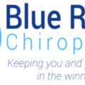 Blue Ribbon Chiropractic - Animal Chiropractic Care - Columbiana, OH