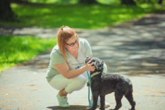 Request Quote: Home Away From Home Pet Services - Pet Sitting and Boarding - Belleville, NJ