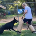 Cappel Canine - Dog Behavior and Dog Training Center - Cross Timber, TX