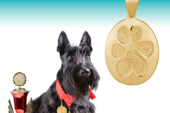 Request Quote: Thumbies® and Buddies™ - Personal Pet Keepsakes - Woodstock, IL