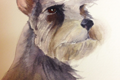 Request Quote: LTL Hawk Studios - Pet Portrait Artist - Nationwide