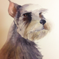 LTL Hawk Studios - Pet Portrait Artist - Nationwide